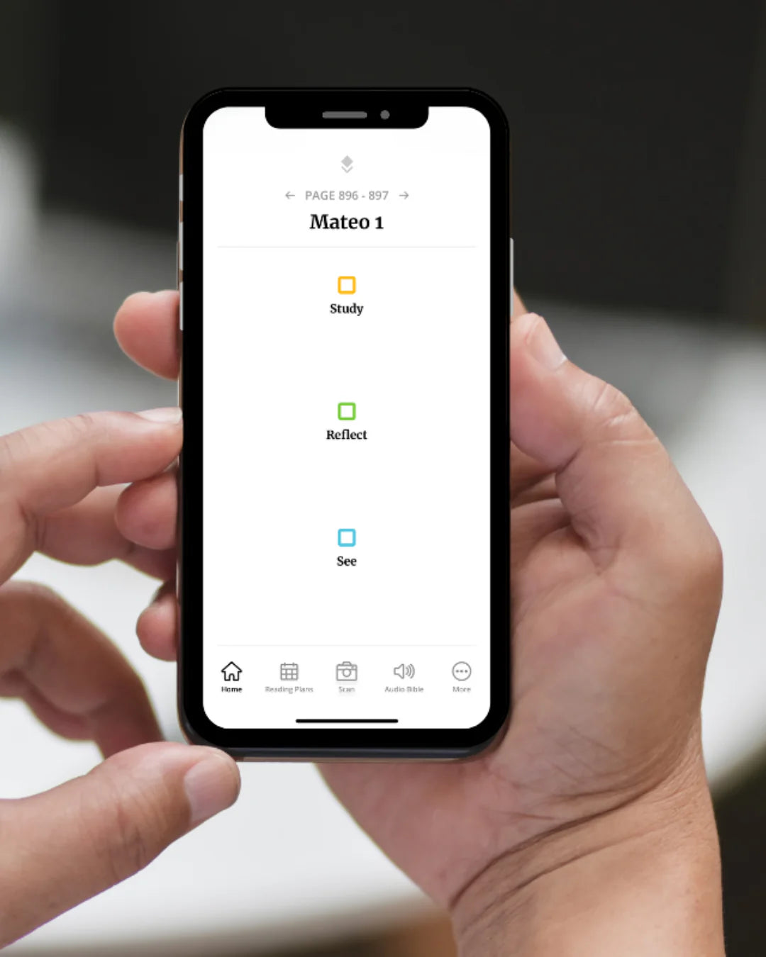 Biblia de Estudio del Diario Vivir para Jóvenes NTV |Filament |Color Azul Piel