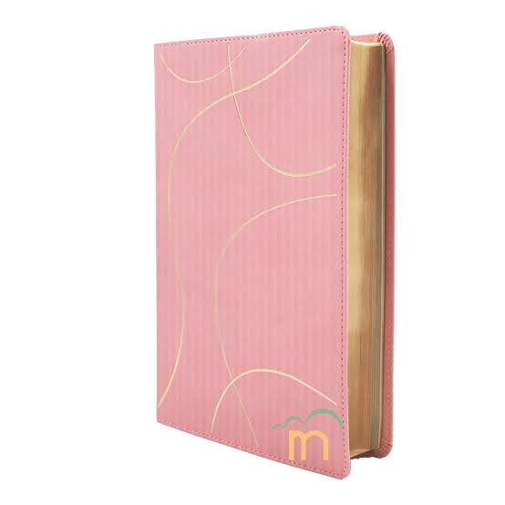 Biblia de Estudio del Diario Vivir para Jovenes NTV | Filament| Sentipiel Rosa